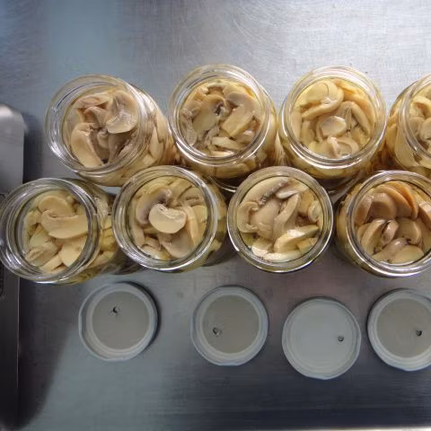 Хорошее качество консервированные ломтики целых грибов в консервной банке из Китая