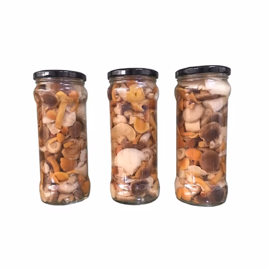 Консервированные маринованные грибы нового сезона